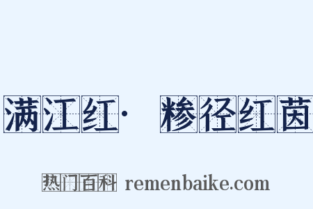 满江红·糁径红茵是什么意思的图片